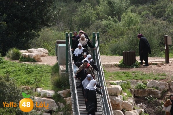 re7la7efa483 (67).JPG